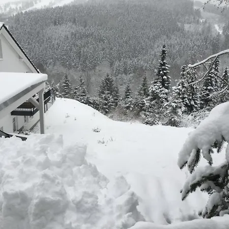 Appartement Ritzhagen In Willingen (Upland)