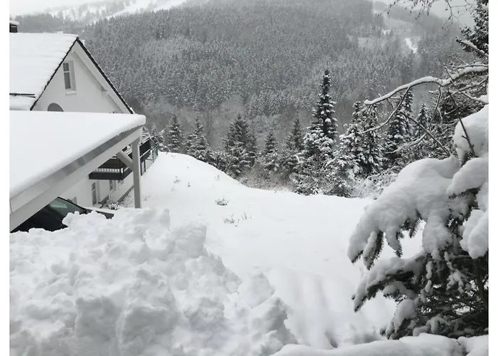 Lägenhet Ritzhagen In Willingen (Upland)